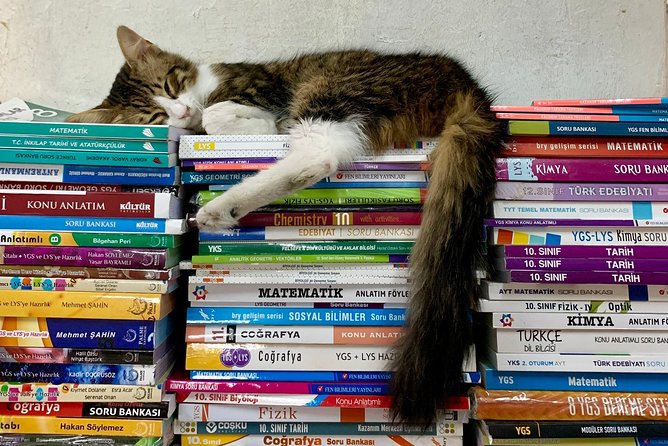 Private Istanbul Two Continents Walk - Asia and Europe Walk. - Pickup Details