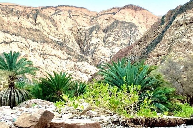 Private Jeep Safari To Wadi Qunai And Three Pools From Dahab