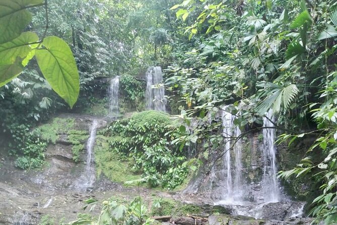 Private Jungle Hike to 2 Waterfalls With Lunch - Tour Highlights