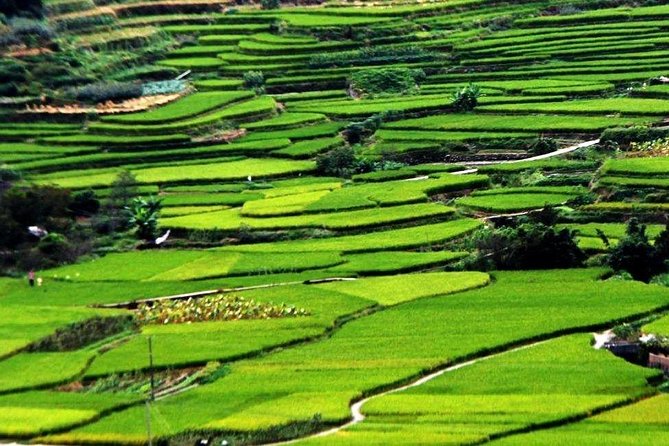 Private Layover Tour to Tianluokeng Tulou From Xiamen Airport or Cruise Port