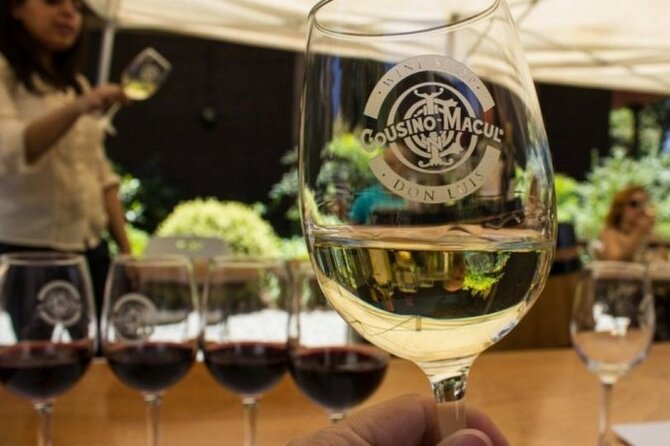 Private Maipo Valley De Luxe Wine Tour - Wine Tasting Experience