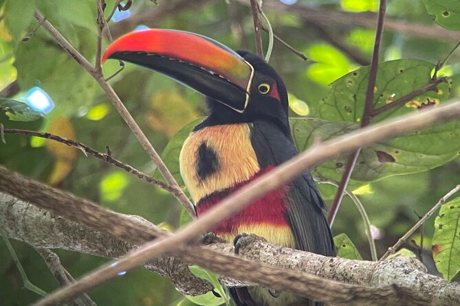 Private Manuel Antonio Sunset and Night Tour - Location