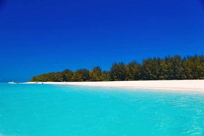 Private Mnemba Island Tour; Spice Tour; Prison Island Tour - Tour Highlights