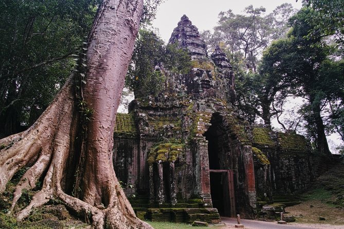 Private One Day Trip-The Best Experience in Siem Reap - Tour Highlights