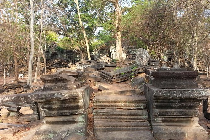 Private One Day Trip to Beng Mealea and Kompong Phluk Floating Village - Tour Information