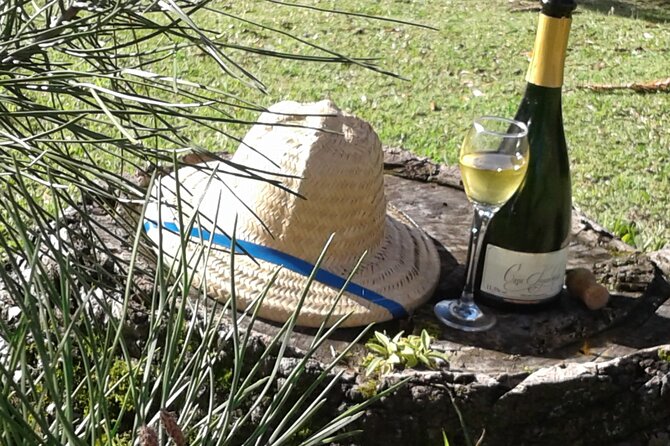 Private Picnic at the Vineyard Gardens in Gramado - Location and Meeting Point