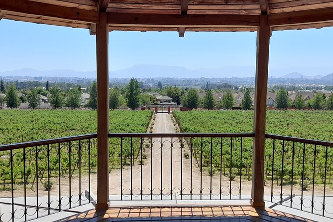 Private Pre/Post Cruise Tour Valparaiso & Casablanca Wine Valley