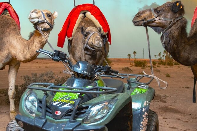 Private Quad Ride in Palm Trees in Marrakech
