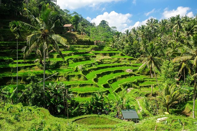 Private Romantic Tour in Ubud With Guide