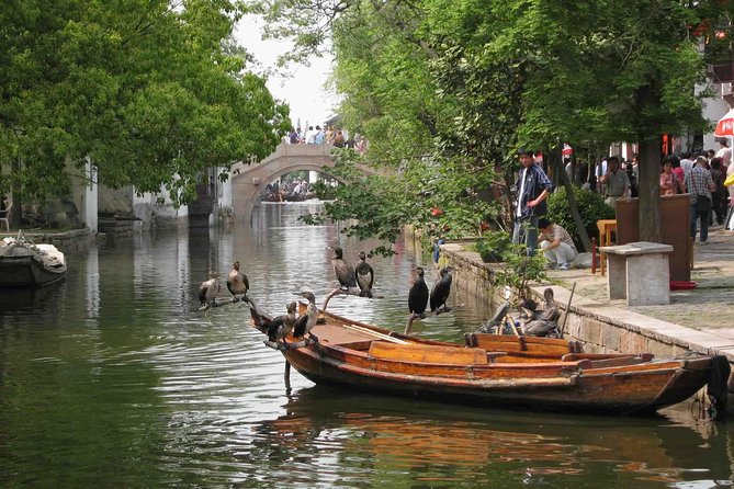Private Round Trip Transfer to Suzhou & Zhouzhuang From Shanghai - Additional Information