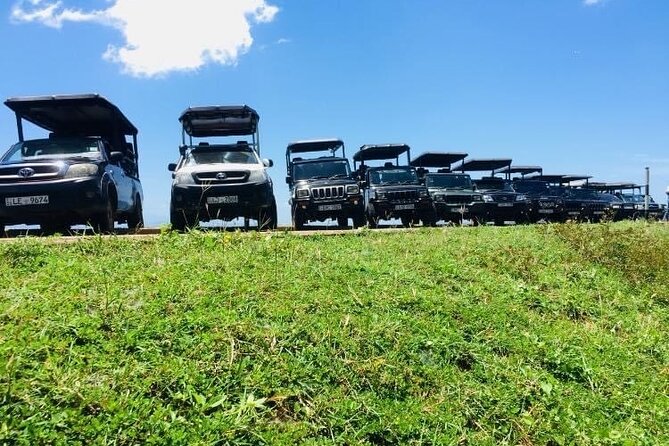 Private Safari Tour in Udawalawe National Park
