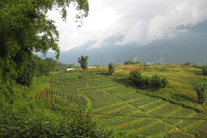 Private Sapa off the Beaten Path Trekking Full Day Tour Start From Sapa - Meeting and Pickup