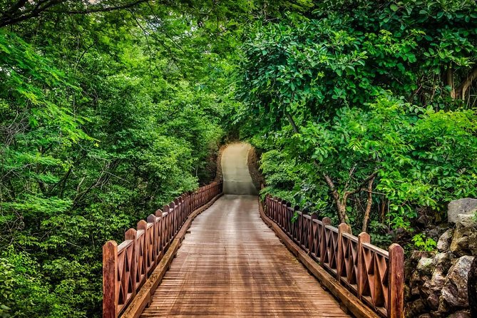 Private Shuttle From Liberia Airport To Four Seasons, Costa Rica - Meeting and Pickup Information