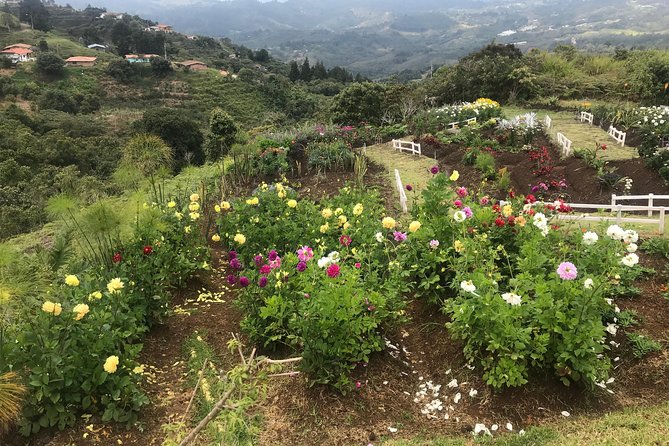 Private Silleteros (Flowers) Tour - Booking Information