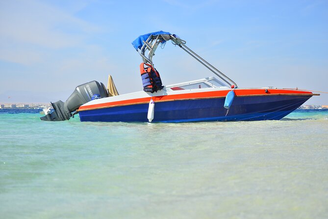 PRIVATE Speed Boat Snorkeling With Dolphins Sea Trip - Hurghada - Tour Overview