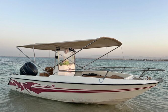 Private Speed Boat Trip in Hurghada, Swimming With Dolphins