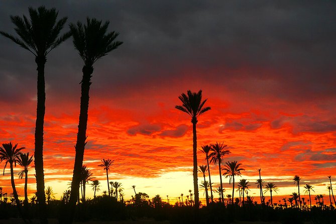 Private Sunset Camel Ride With Tea Break In Marrakeh Palm Grove - Additional Information
