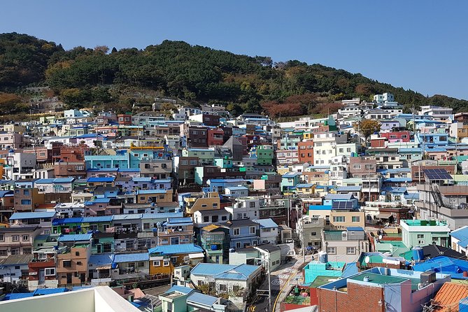 Private Tour, 1Day Busan City Tour by KTX From Seoul - Included Attractions