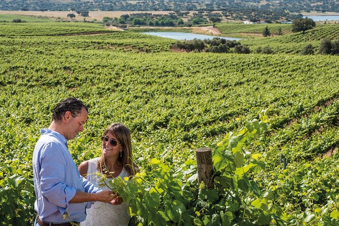 Private Tour: 2 Days to Discover the Best of Alentejo Wine Route - Tour Highlights
