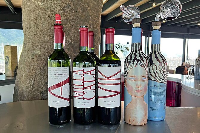 Private Tour at Maturana Wines and VIK Winery With Lunch Pairing - Inclusions and Exclusions