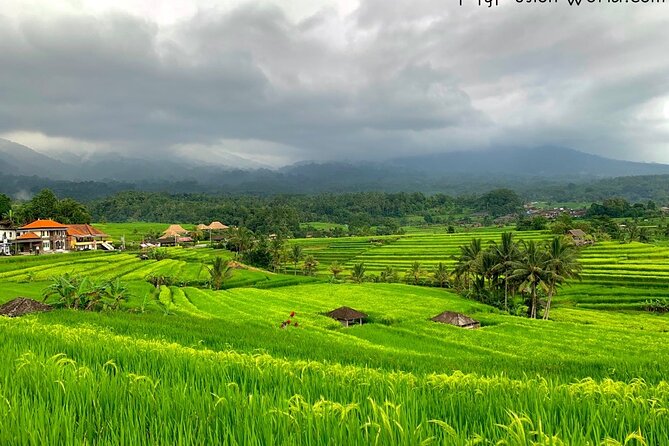 Private Tour Bedugul and Tanah Lot Temple Incl Ticket - Pickup Locations