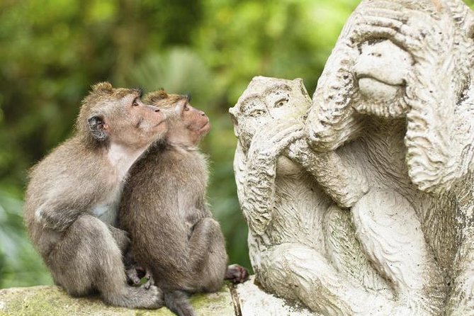Private Tour : Best of Ubud