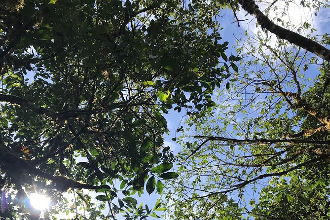 Private Tour – Cerro Gaital Natural Monument Trail