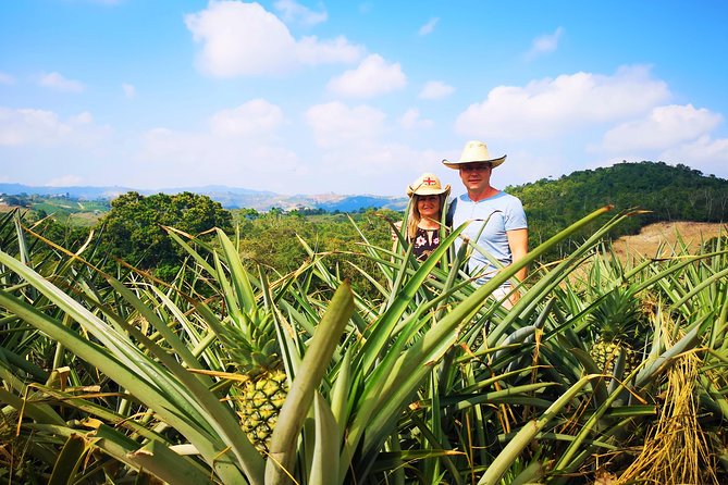 Private Tour - Citrus/Pineapple Tour (Cultivations) - Location Details