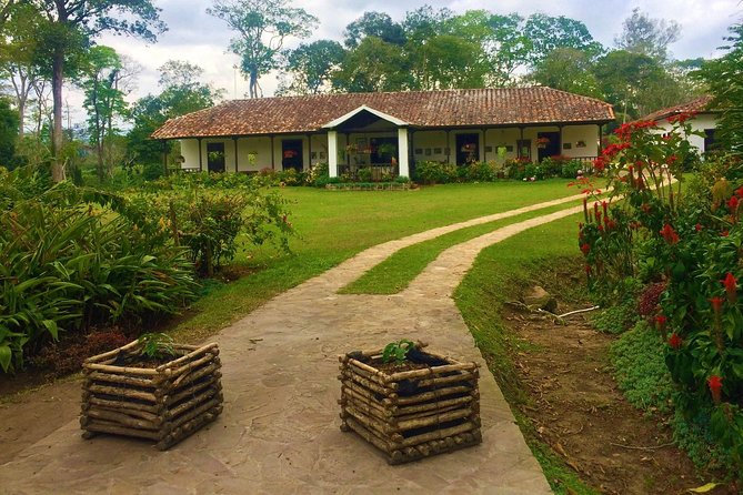 Private Tour - Coffee Tour / Gastronomic Tour (Cultivations)