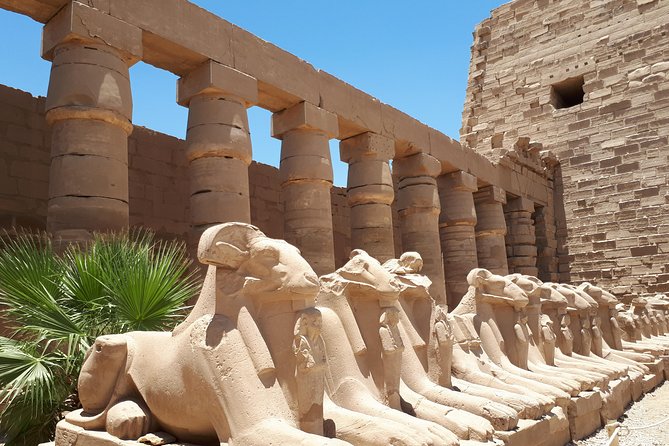 Private Tour From Luxor to East Bank – Karnak and Luxor Temples