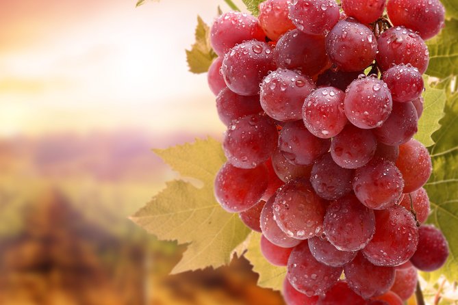 Private Tour: Full Day Wine Tasting Naousa & Ag. Nikolaos - Tour Overview