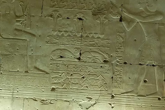 Private Tour Guided in Aswan From Luxor; Solo ;Groups - Tour Details