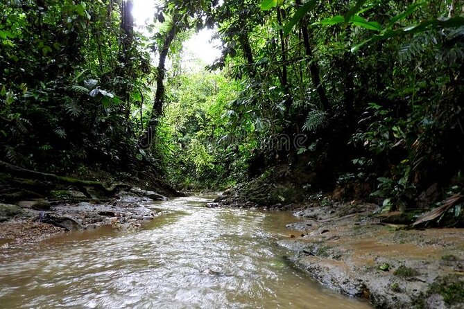 Private Tour in the Amazon Jungle With a Visit to Caverns and Lunch - Activity Start Time and Additional Info