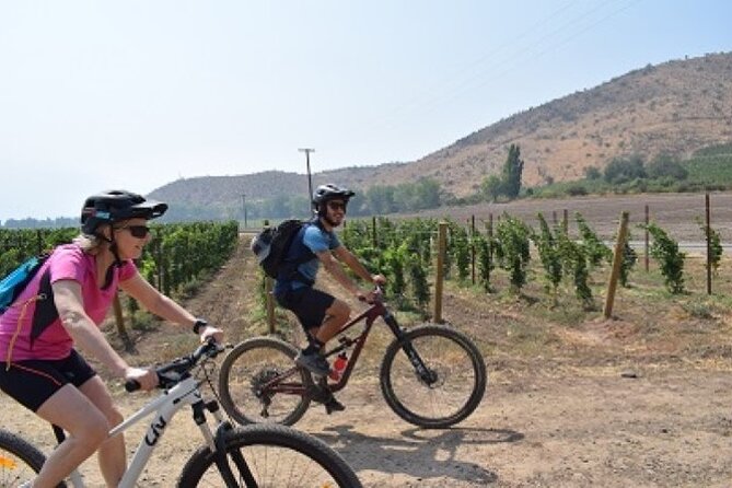 Private Tour in the Andes Mountains Pedal and Taste Wines - Tour Highlights