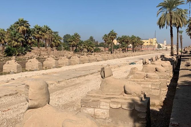 Private Tour Luxor East & West Bank From Luxor Airport - Inclusions and Amenities