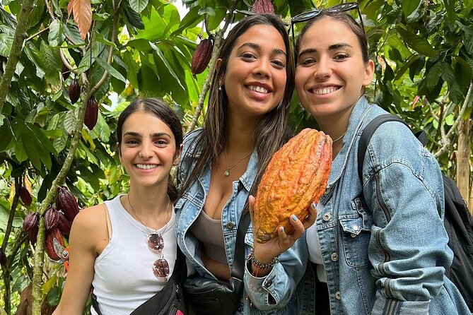 Private Tour of Chocolate Plantation and Processing - Tour Highlights