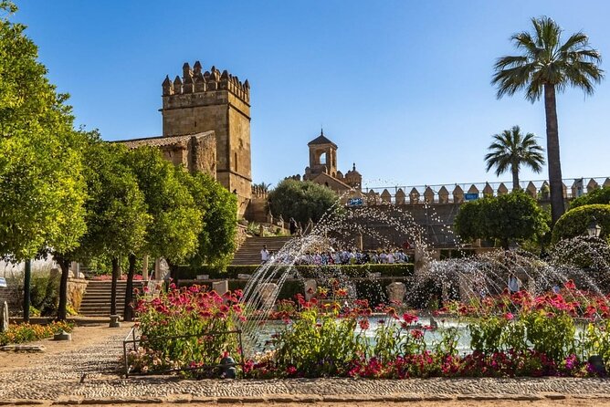 Private Tour of Cordoba Week Days 3 Hours - Tour Highlights