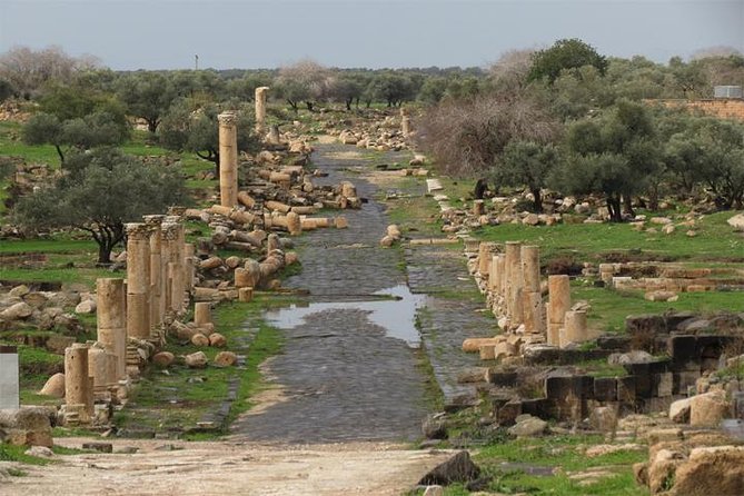 Private Tour of Jerash and Umm Qais Day Trip From Dead Sea - Tour Overview