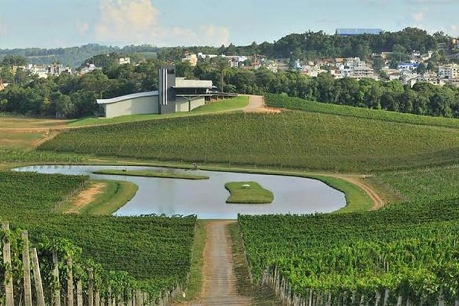 Private Tour of Luiz Argenta and 2 Other Flores Cunha Wineries