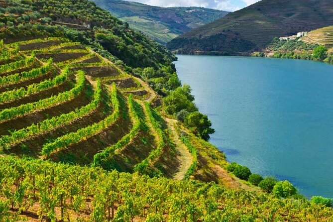 Private Tour of Peljesac Peninsula With Optional Wine Tasting