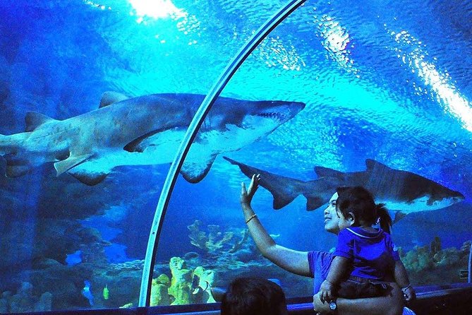 Private Tour : Skip The Line Petronas Twin Towers, Petrosains & Aquaria KLCC