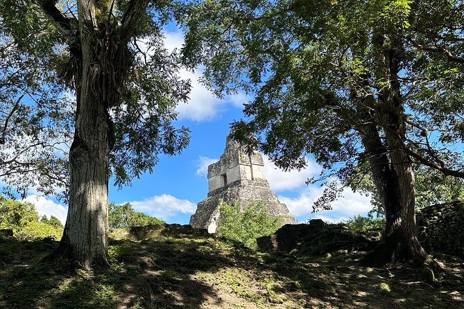 Private Tour Tikal National Park From Flores Peten With Lunch - Tour Inclusions and Features
