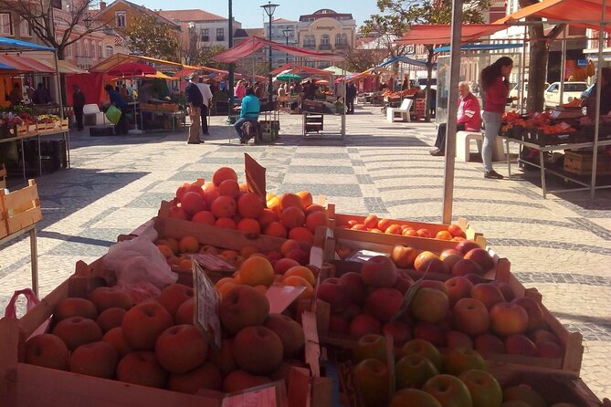 Private Tour to Bordalo Pinheiro, Óbidos, Vista Alegre and Aveiro - Tour Details