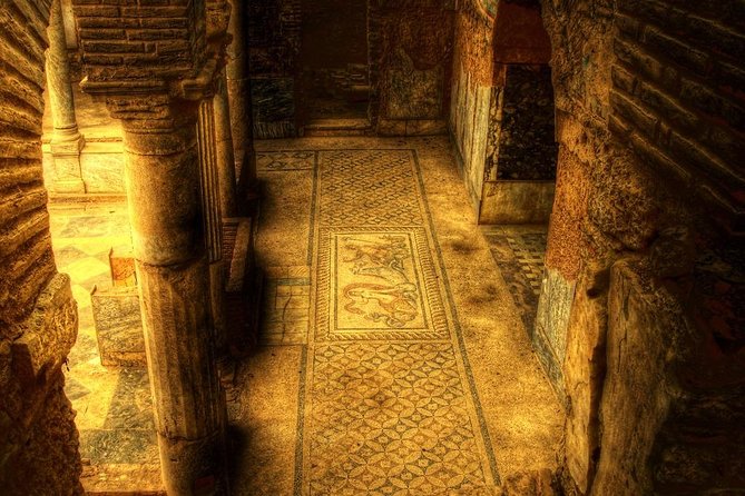 Private Tour to Ephesus, Terrace Houses, Selcuk Museum, Temple of Artemis - Tour Overview