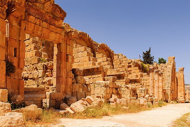Private Tour to Jerash and Ajloun From Dead Sea - Tour Description