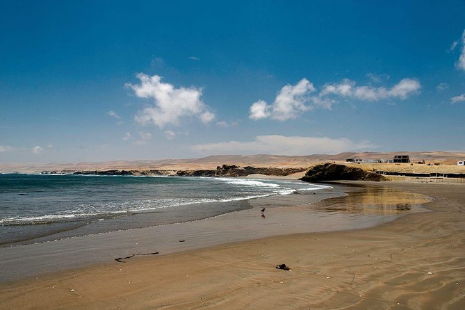 Private Tour To Learn The Beauty Of The Pacific Ocean From Nazca - Tour Inclusions and Highlights