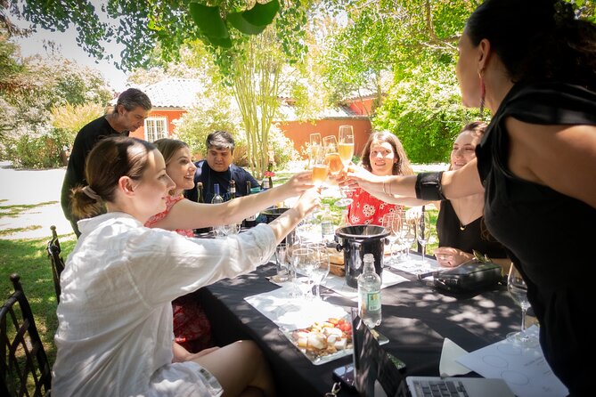 Private Tour to Maipo or Casablanca Boutique Wineries