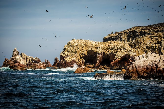 Private Tour to Paracas National Reserve - Location