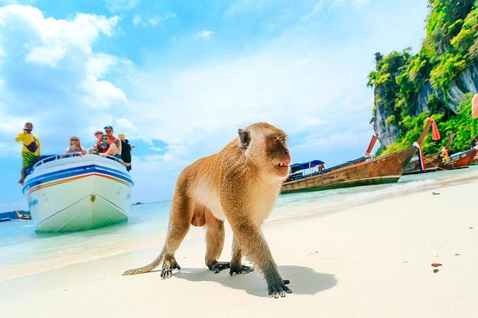 Private Tour to Phi Phi & Maya Bay & Bamboo Islands - Tour Overview