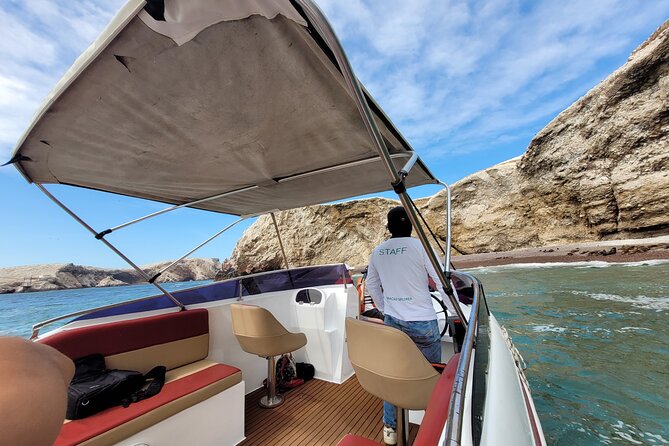 Private Tour to the Ballestas Islands - Tour Highlights